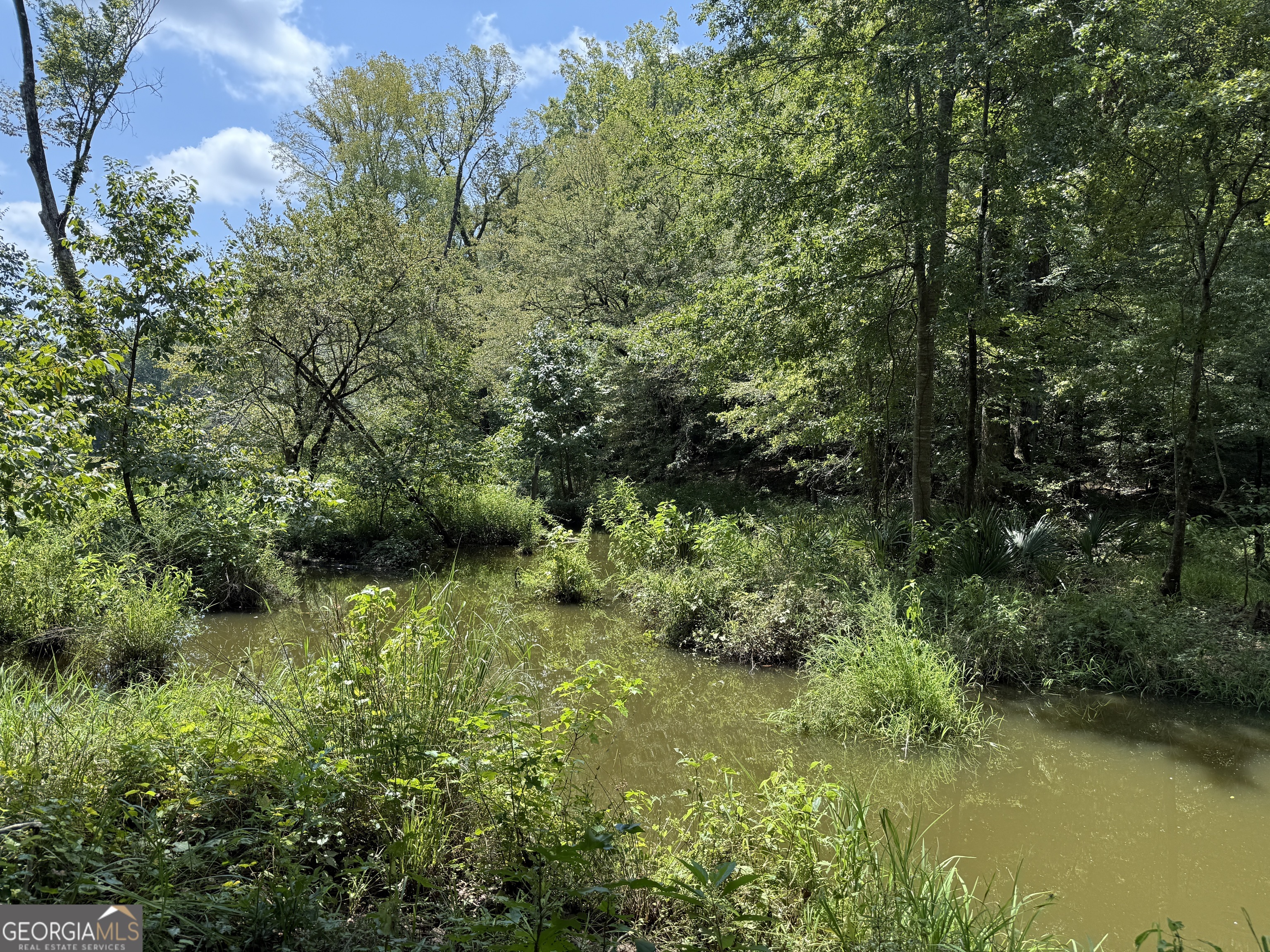 896 Talbotton Highway Butler, GA 31006 - Photo 22 of 47