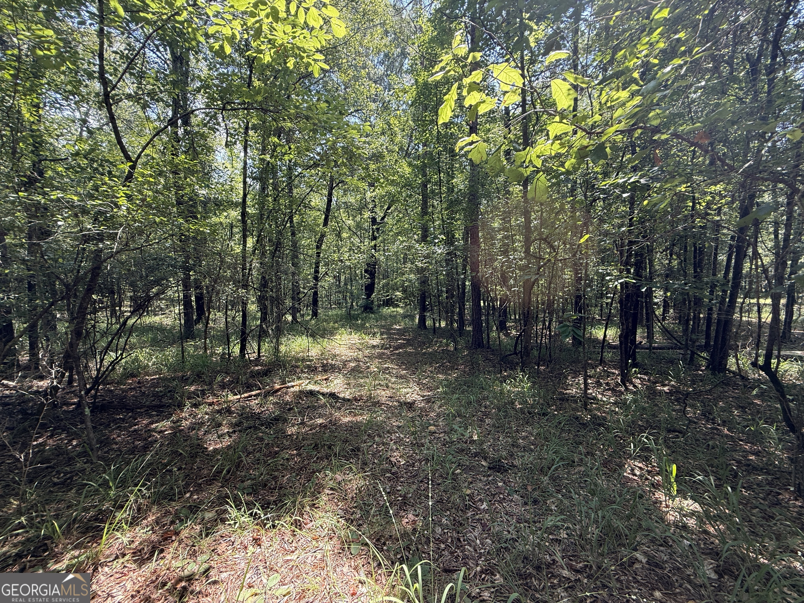 896 Talbotton Highway Butler, GA 31006 - Photo 23 of 47