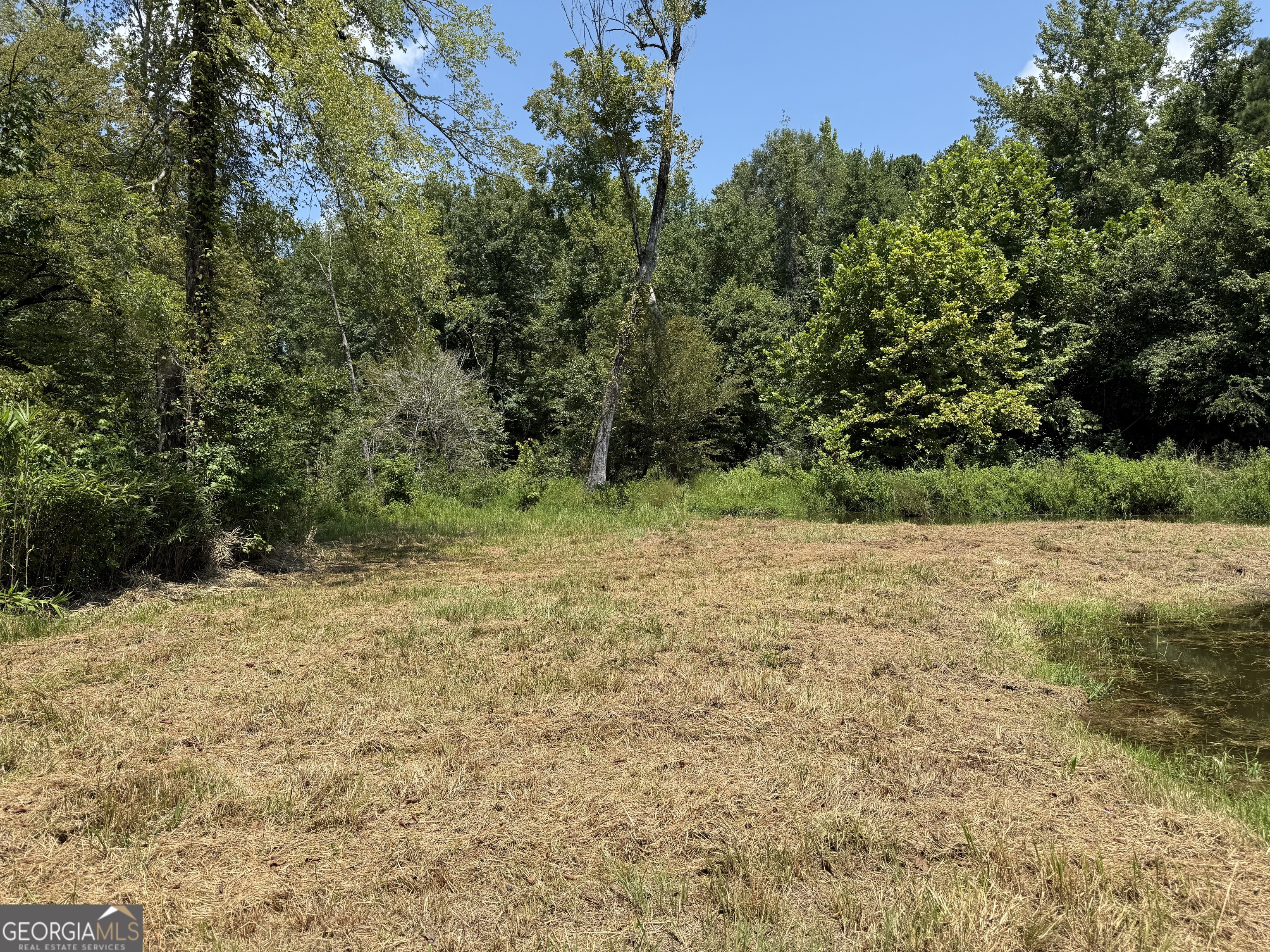 896 Talbotton Highway Butler, GA 31006 - Photo 24 of 47