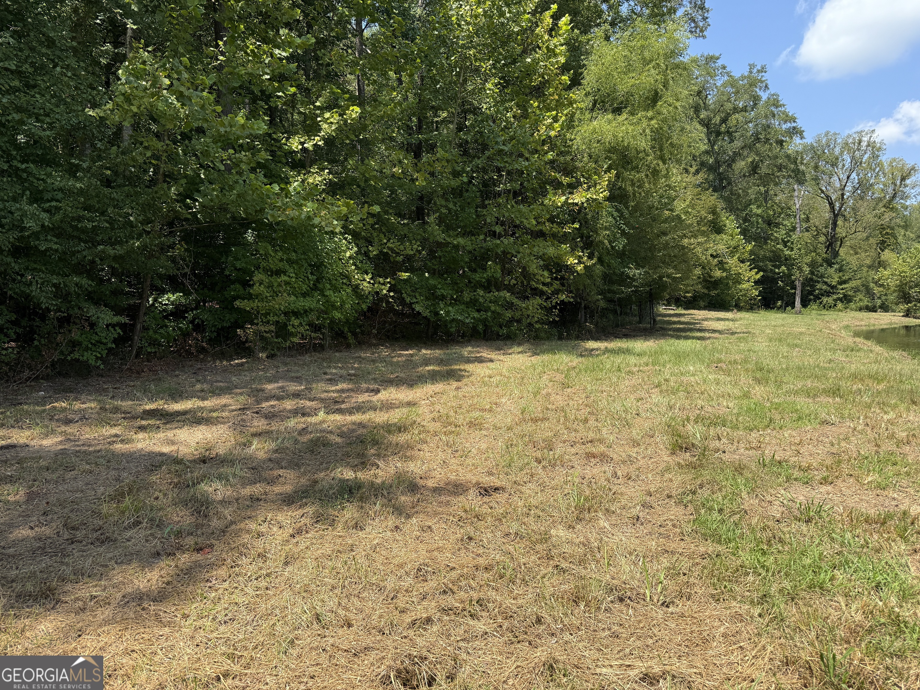 896 Talbotton Highway Butler, GA 31006 - Photo 25 of 47