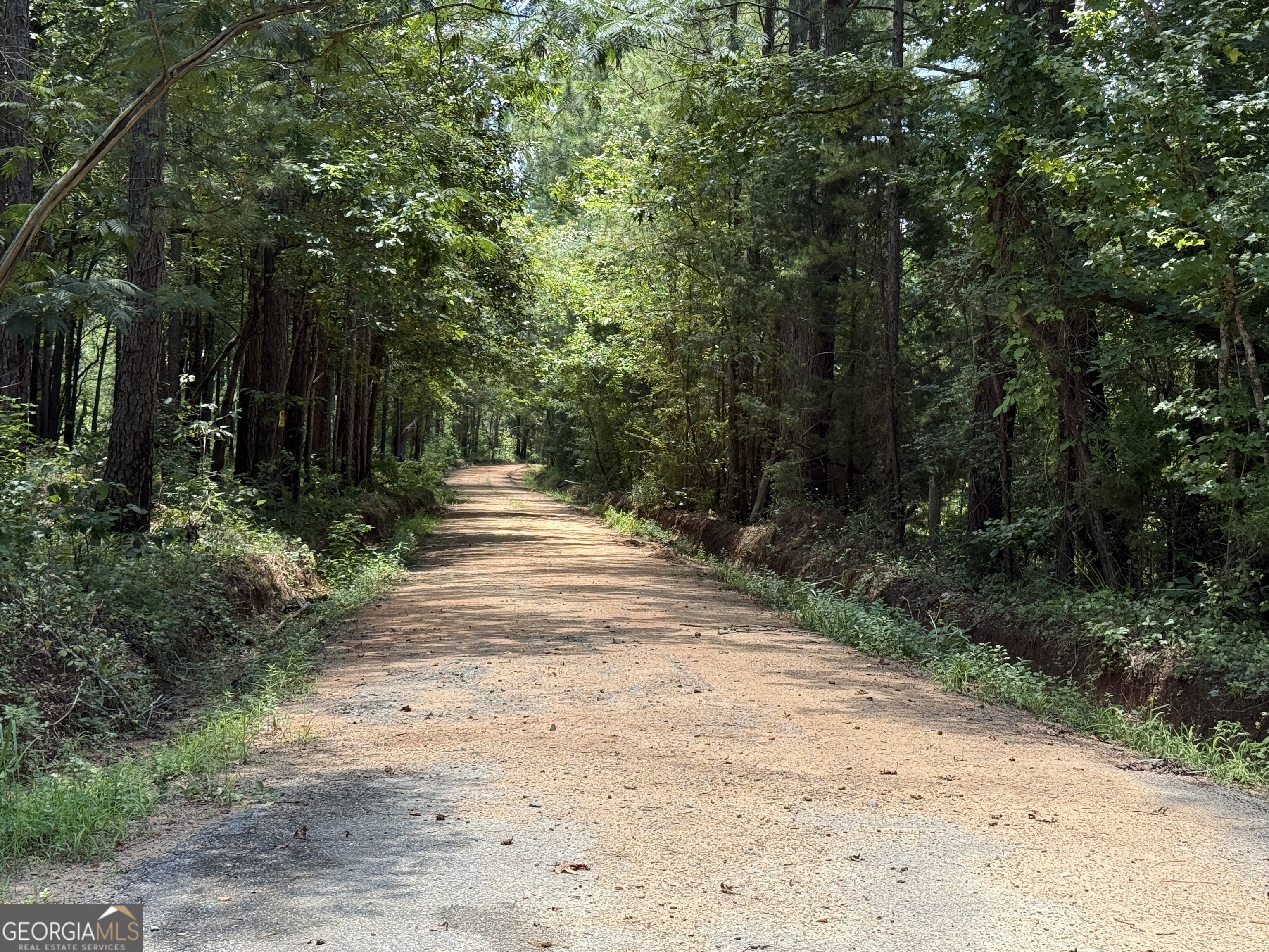 896 Talbotton Highway Butler, GA 31006 - Photo 26 of 47