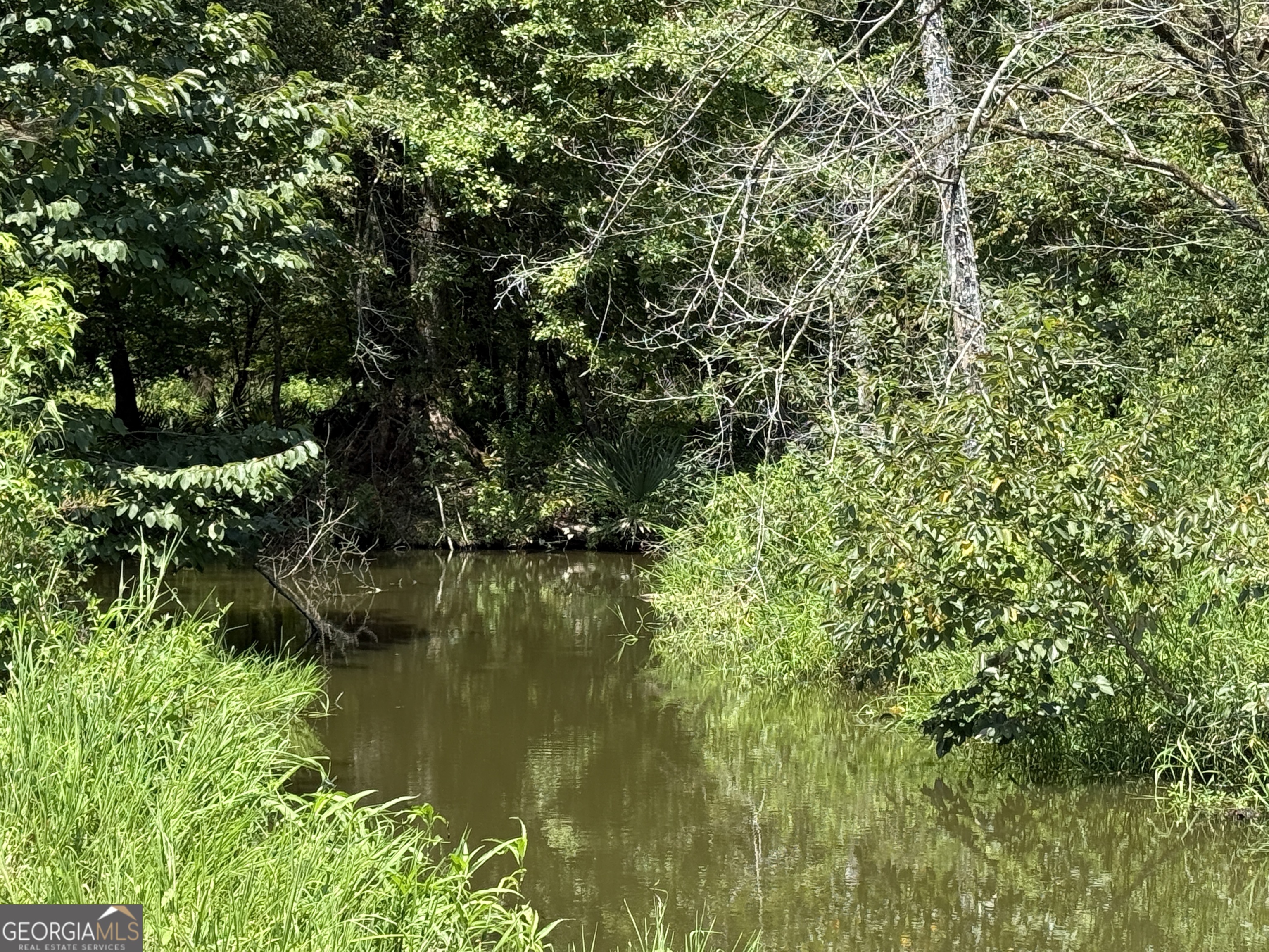 896 Talbotton Highway Butler, GA 31006 - Photo 27 of 47