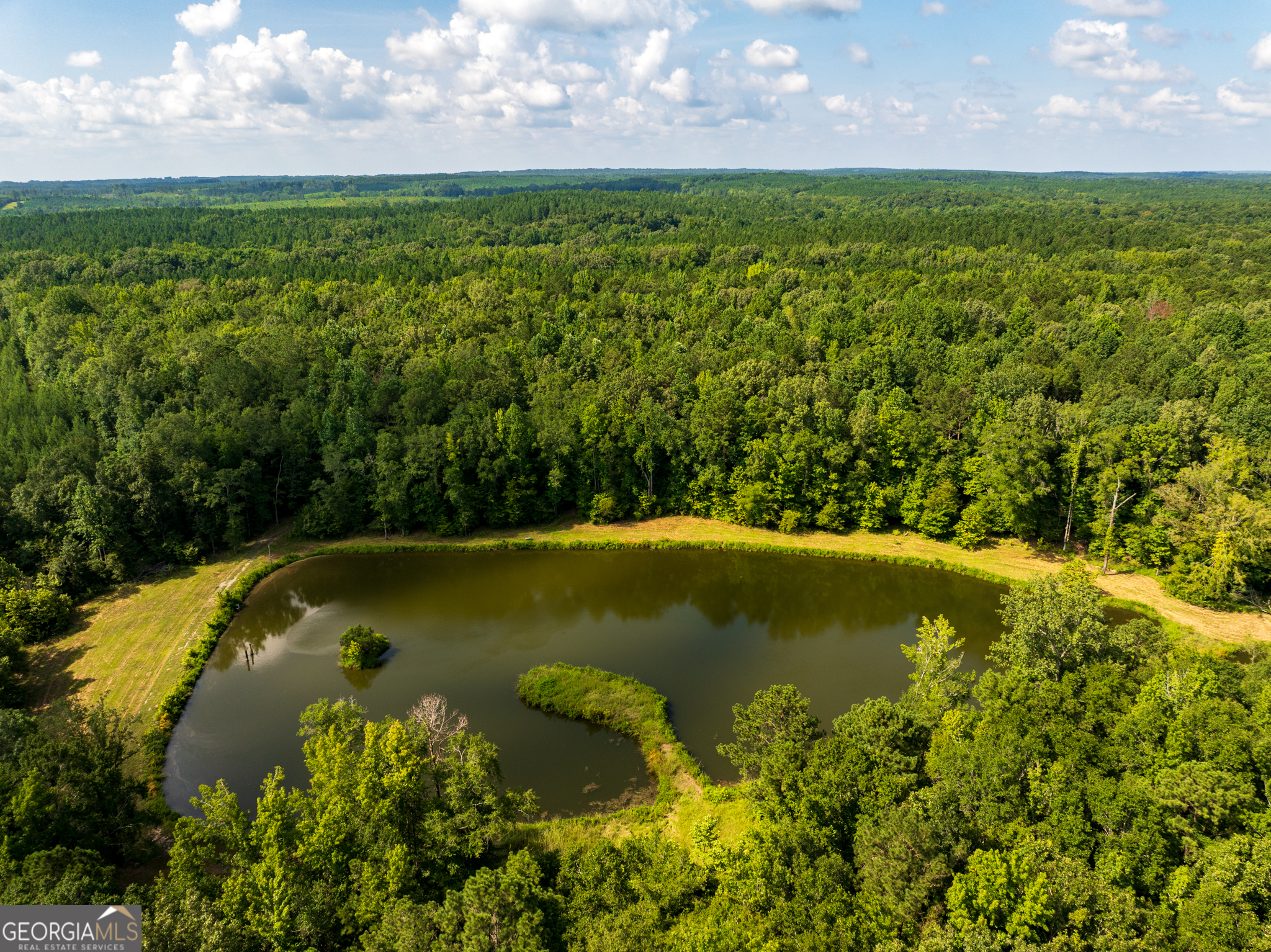 896 Talbotton Highway Butler, GA 31006 - Photo 28 of 47