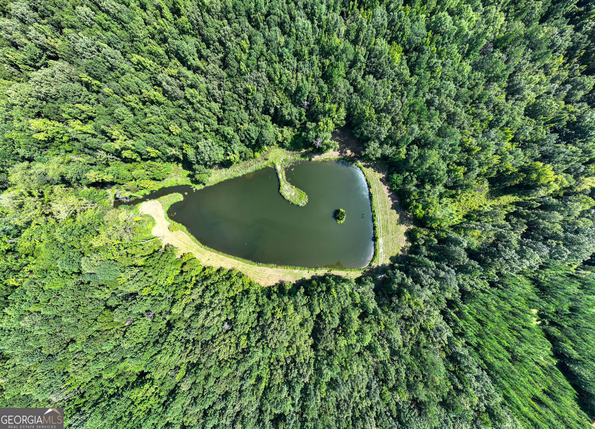 896 Talbotton Highway Butler, GA 31006 - Photo 29 of 47