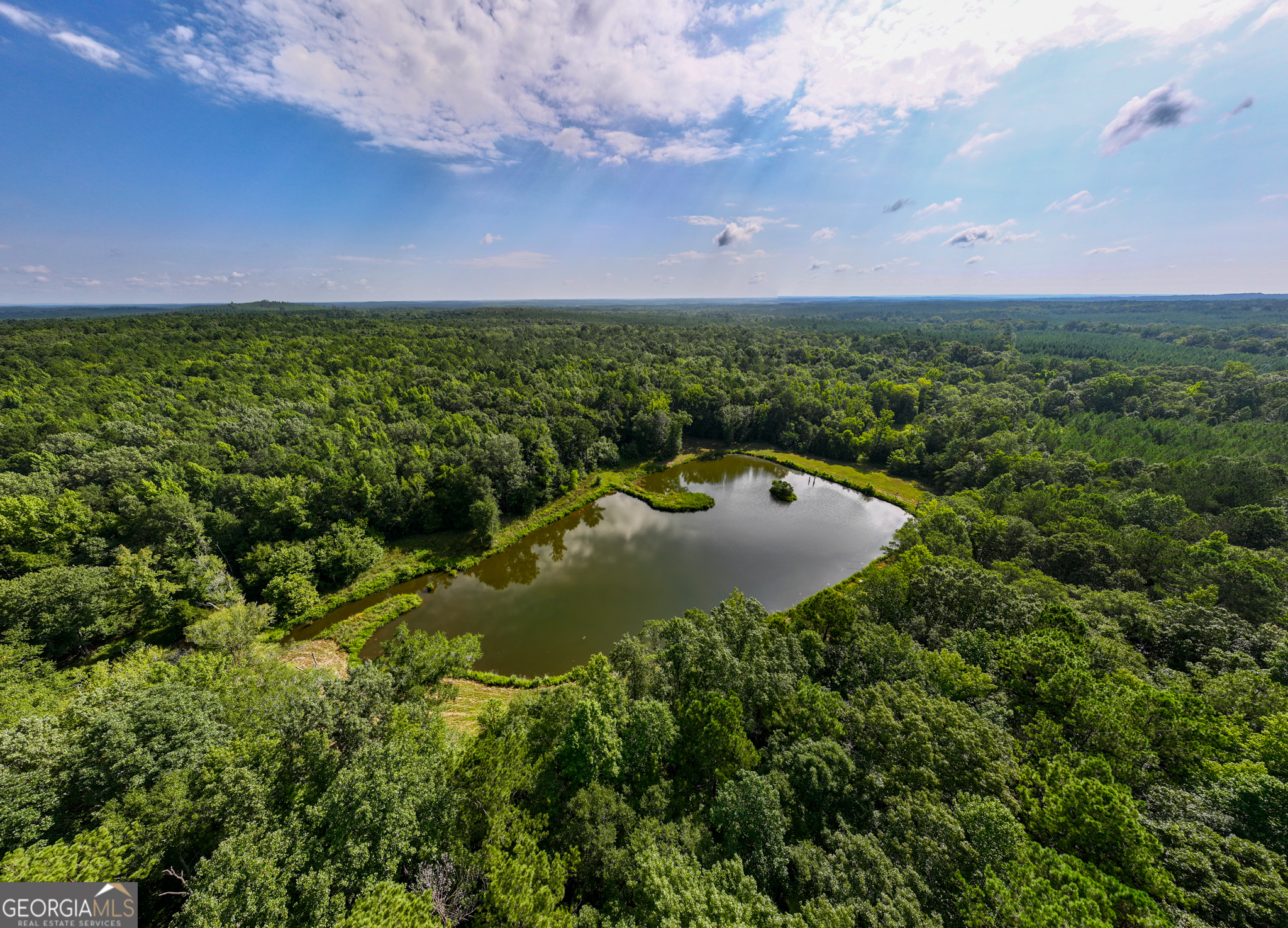 896 Talbotton Highway Butler, GA 31006 - Photo 30 of 47