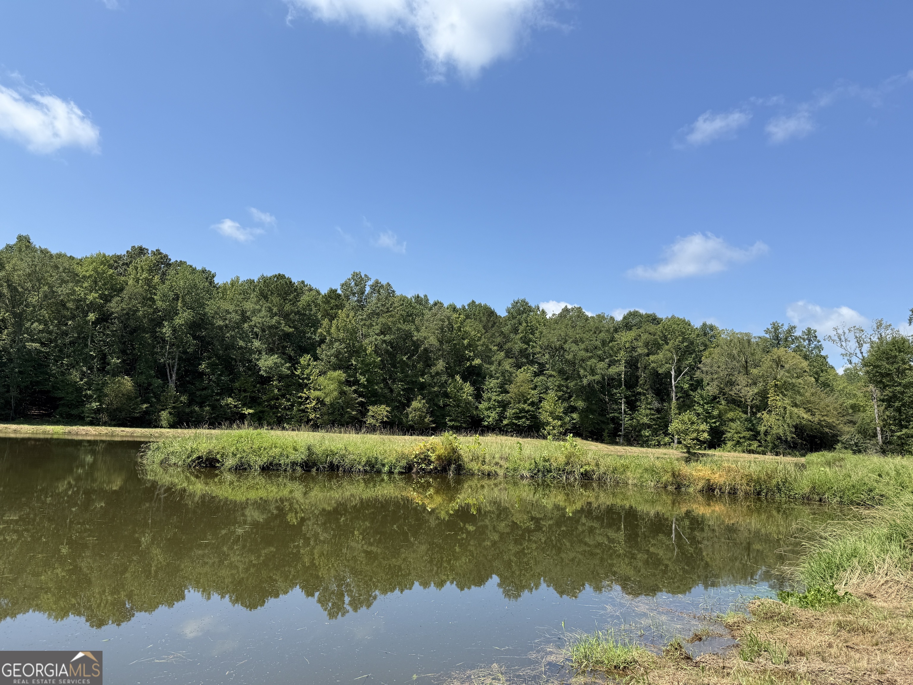 896 Talbotton Highway Butler, GA 31006 - Photo 31 of 47