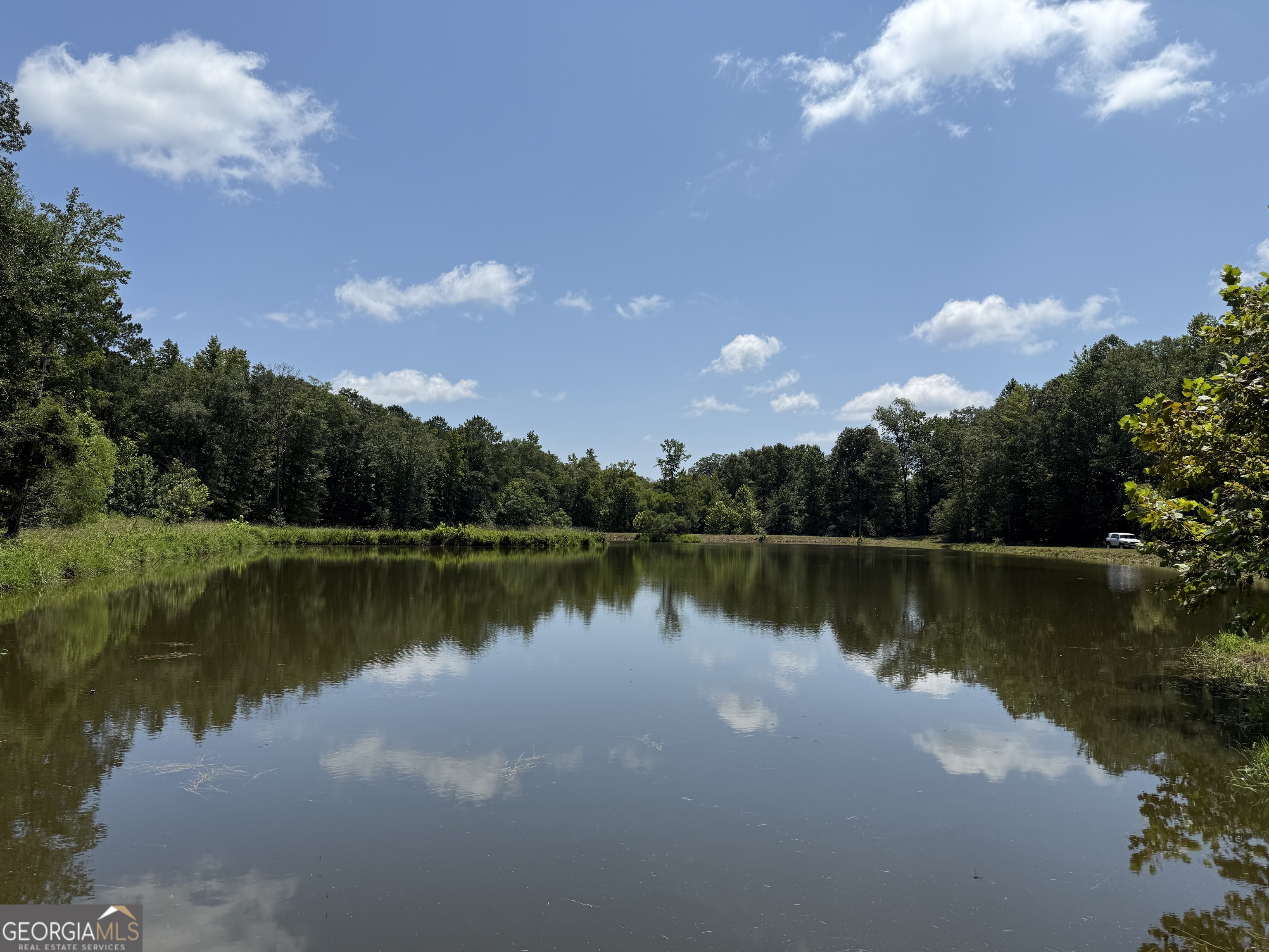 896 Talbotton Highway Butler, GA 31006 - Photo 32 of 47