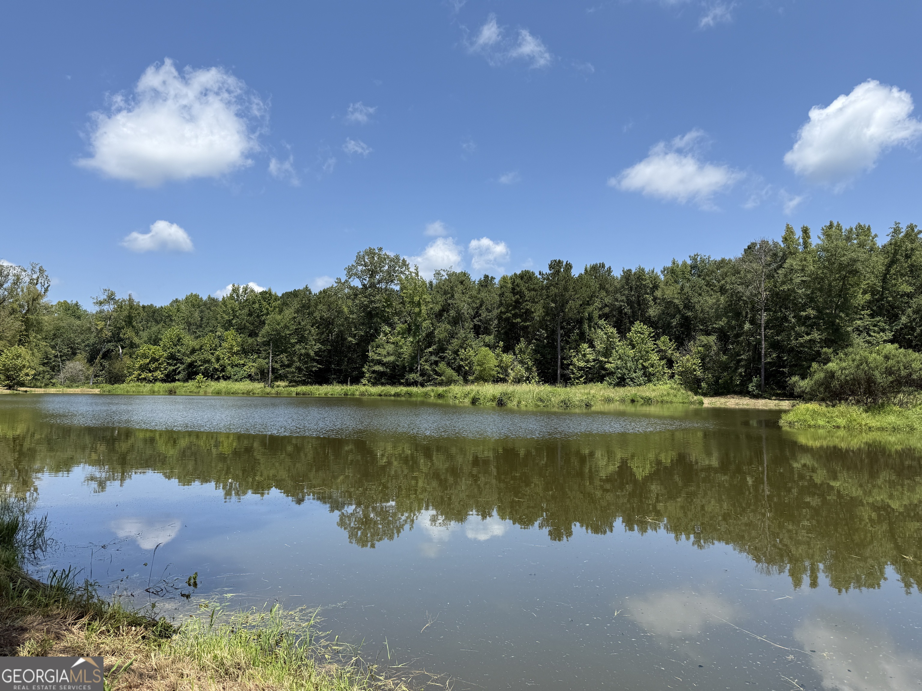 896 Talbotton Highway Butler, GA 31006 - Photo 33 of 47