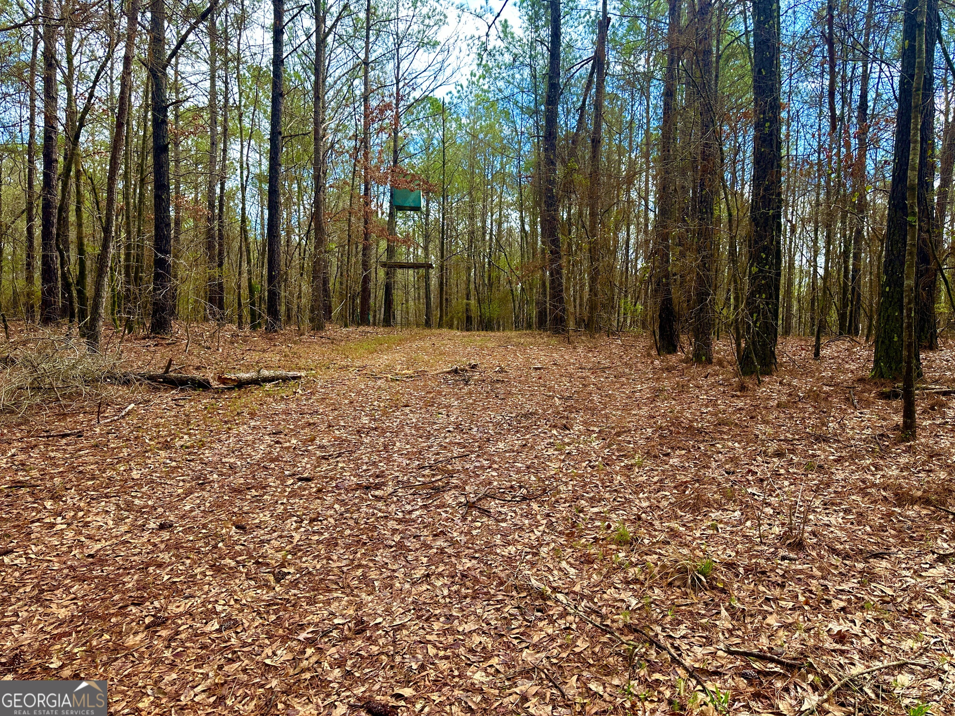 896 Talbotton Highway Butler, GA 31006 - Photo 35 of 47