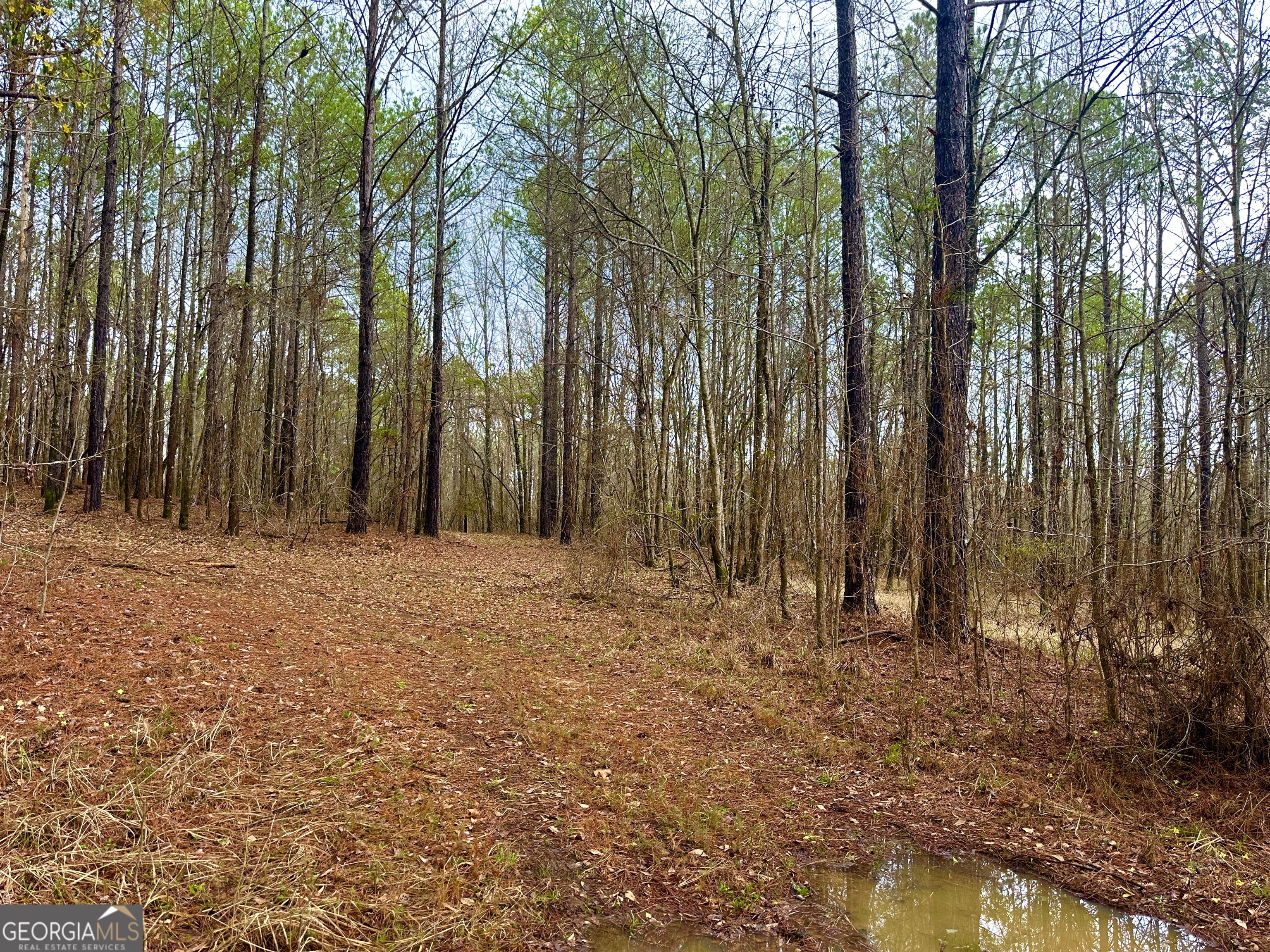 896 Talbotton Highway Butler, GA 31006 - Photo 36 of 47