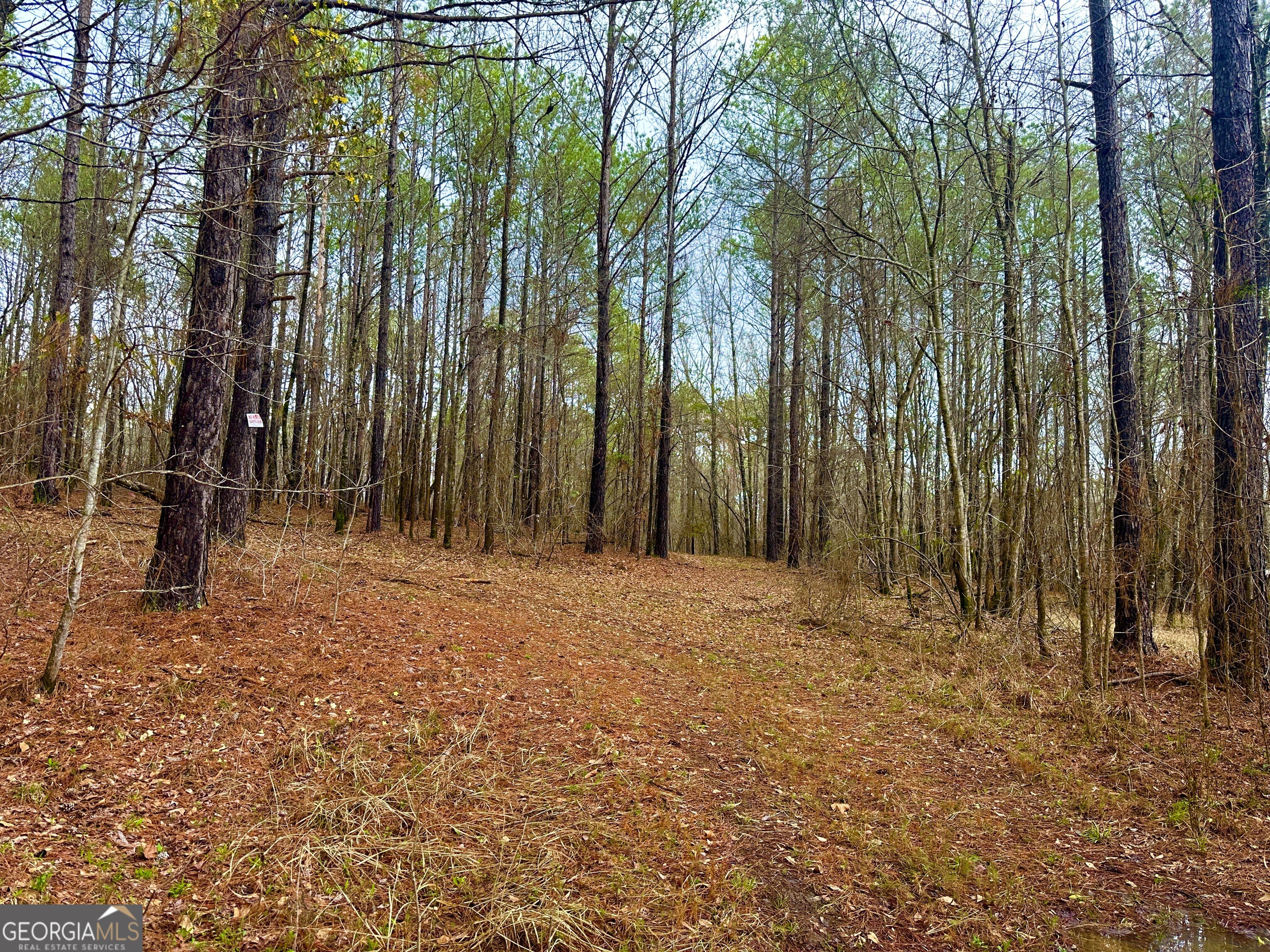 896 Talbotton Highway Butler, GA 31006 - Photo 37 of 47