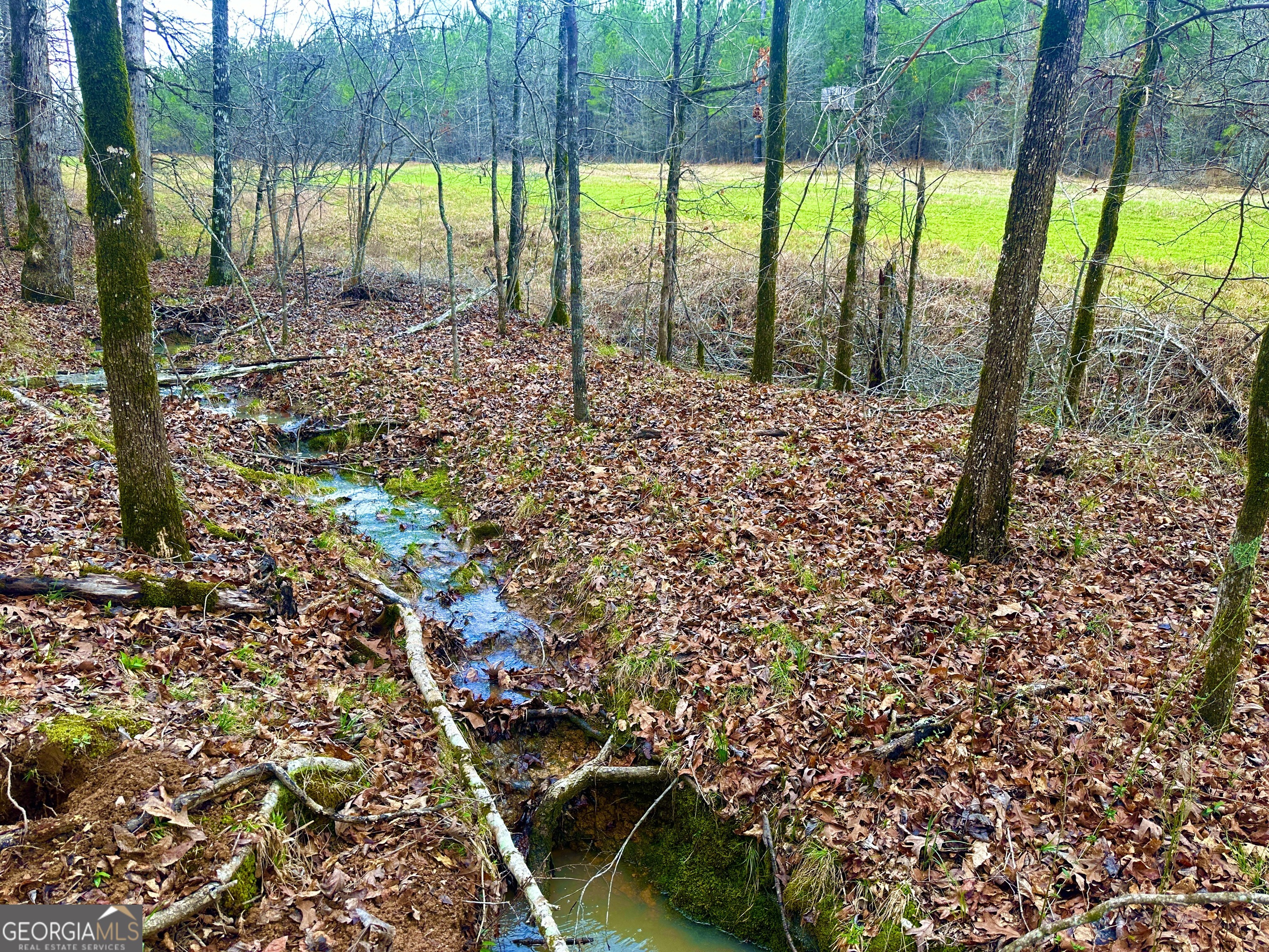 896 Talbotton Highway Butler, GA 31006 - Photo 41 of 47