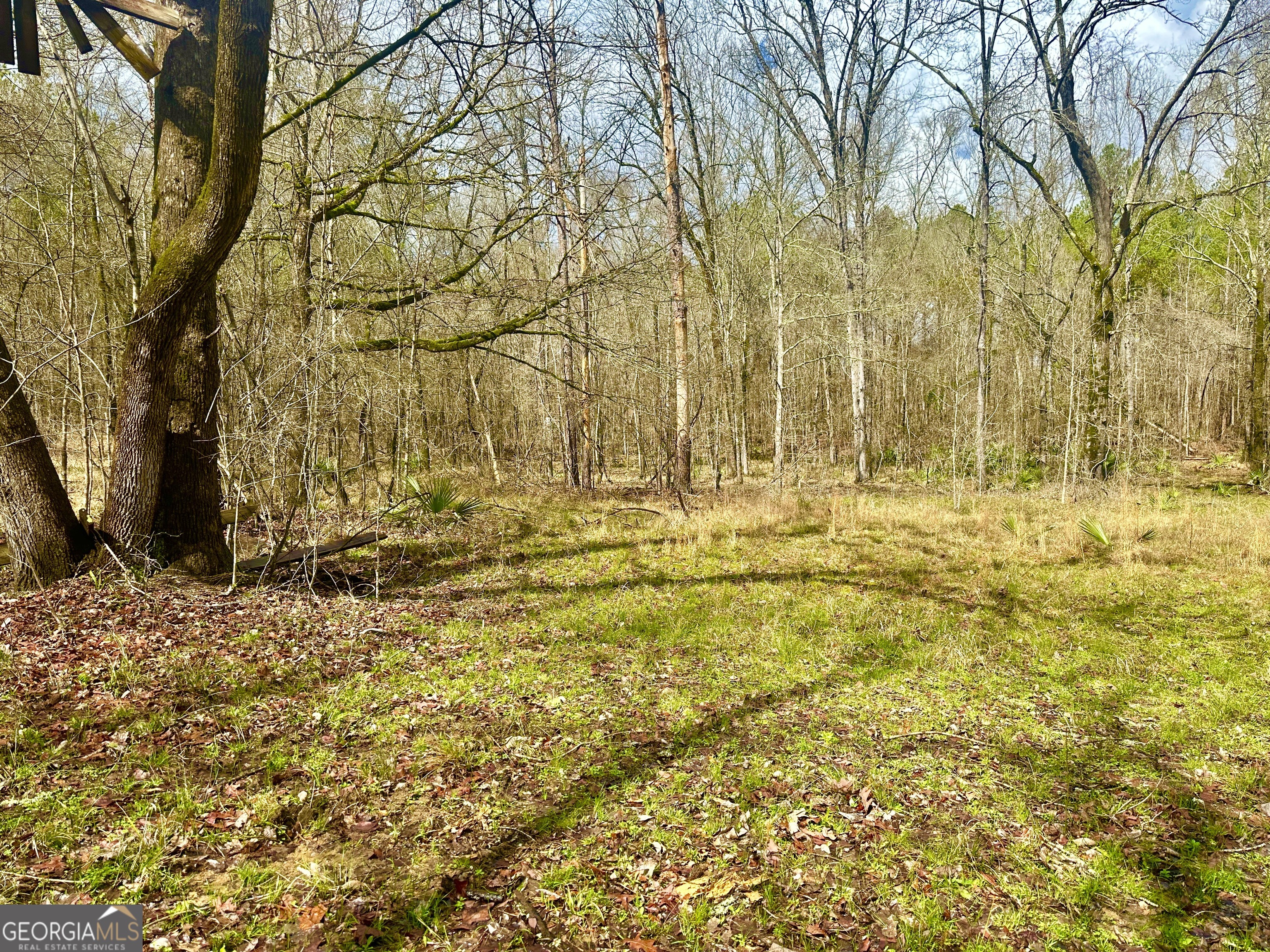 896 Talbotton Highway Butler, GA 31006 - Photo 42 of 47