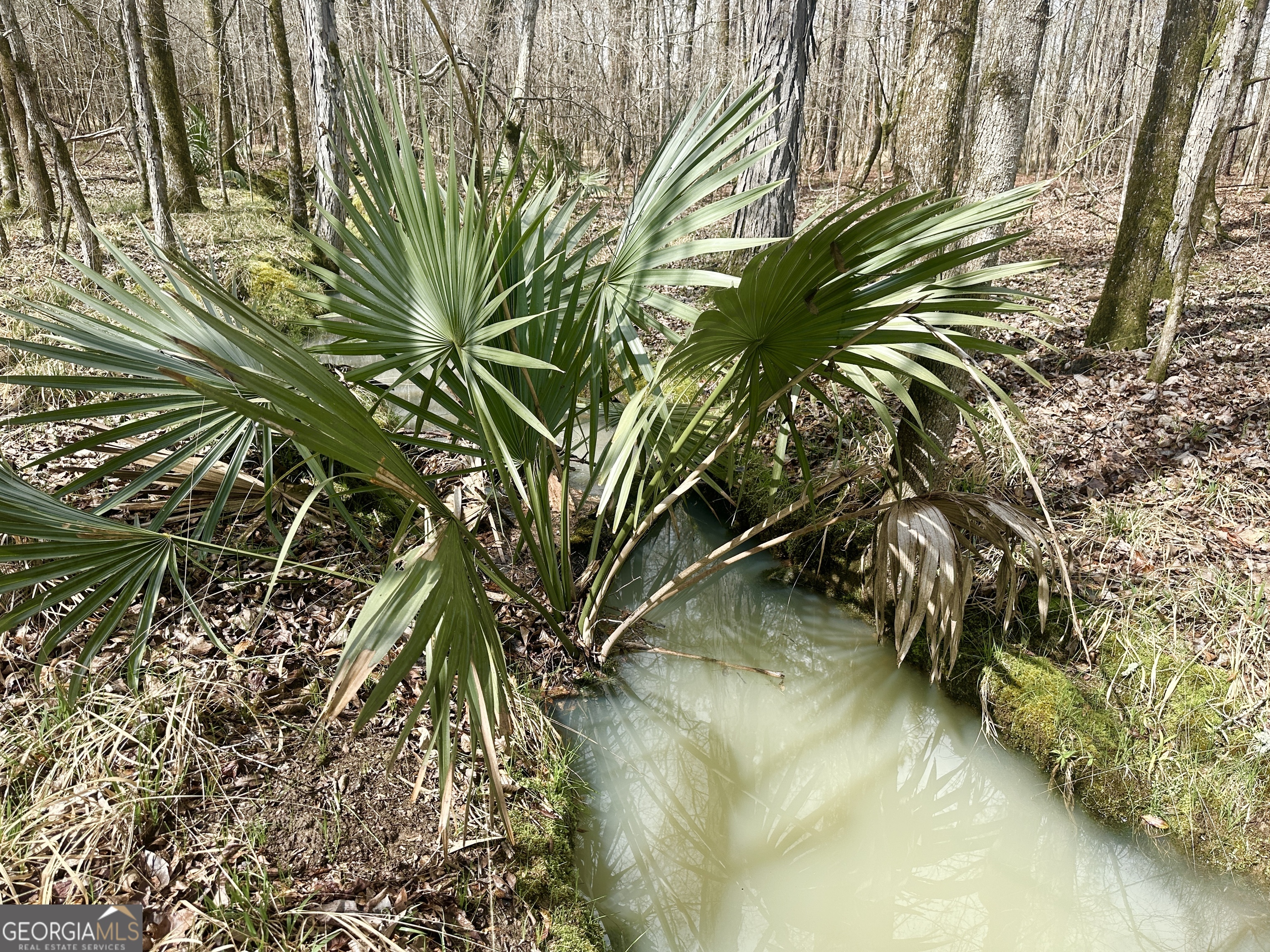 896 Talbotton Highway Butler, GA 31006 - Photo 44 of 47