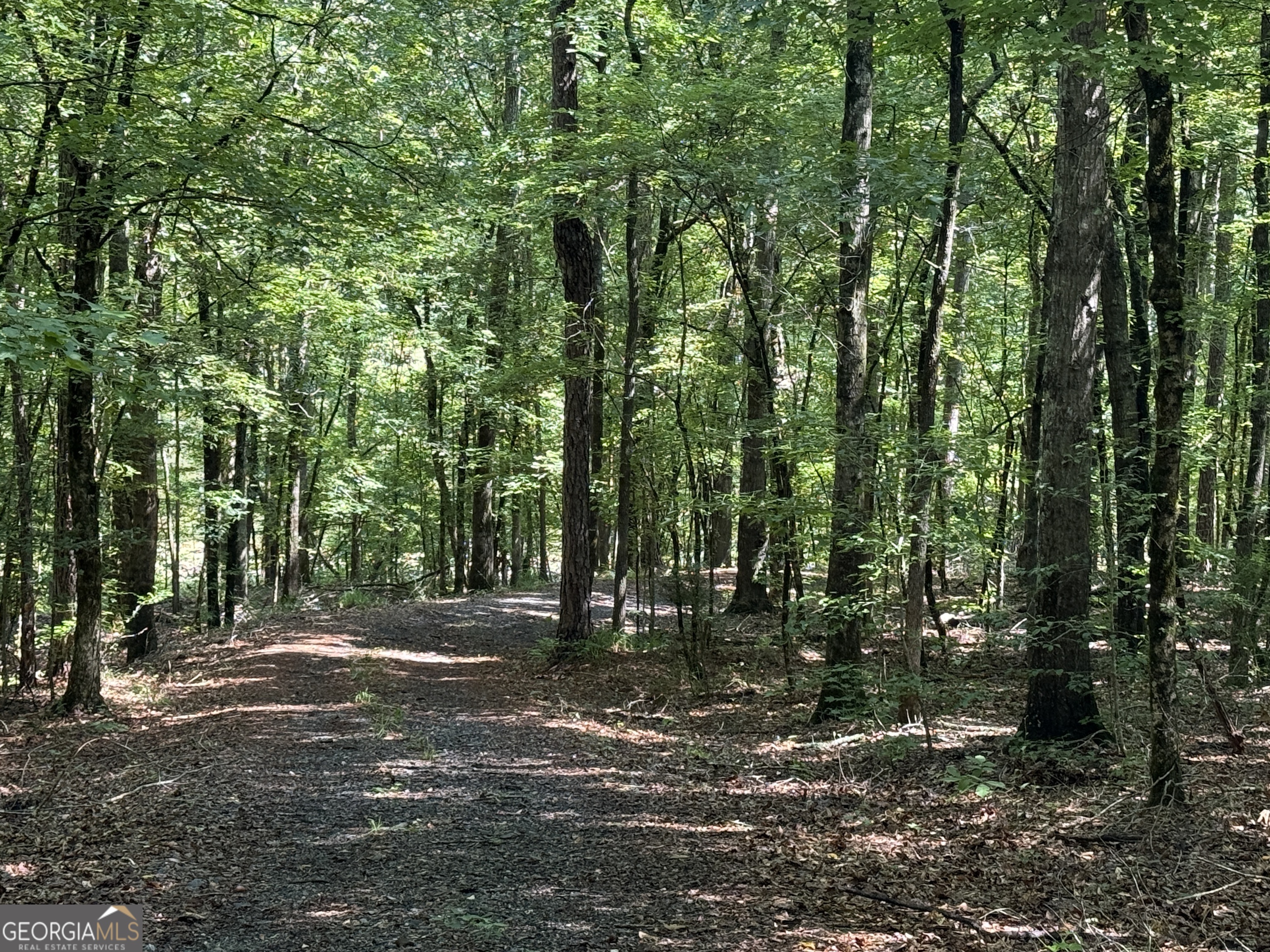 896 Talbotton Highway Butler, GA 31006 - Photo 5 of 47