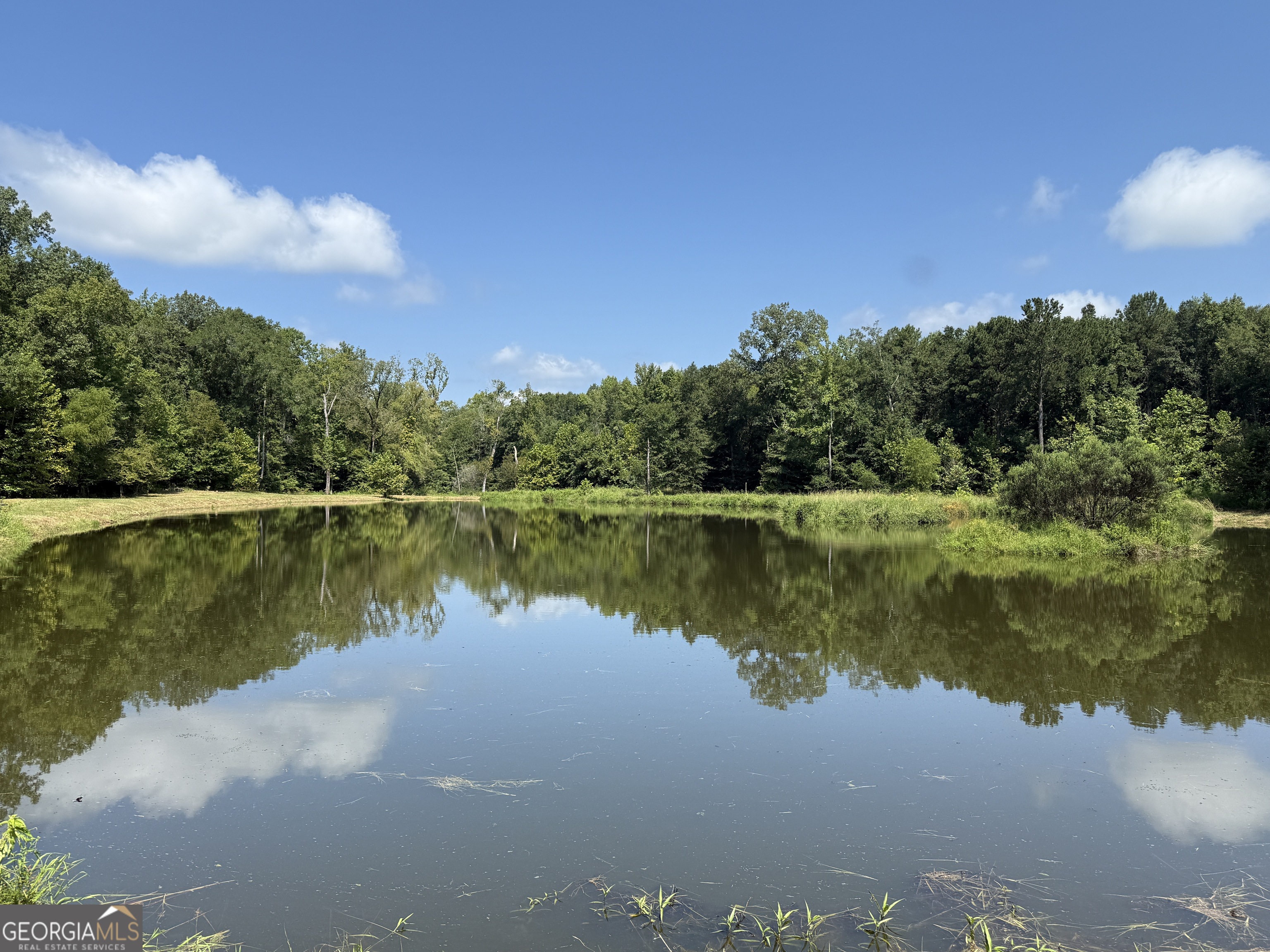 896 Talbotton Highway Butler, GA 31006 - Photo 6 of 47