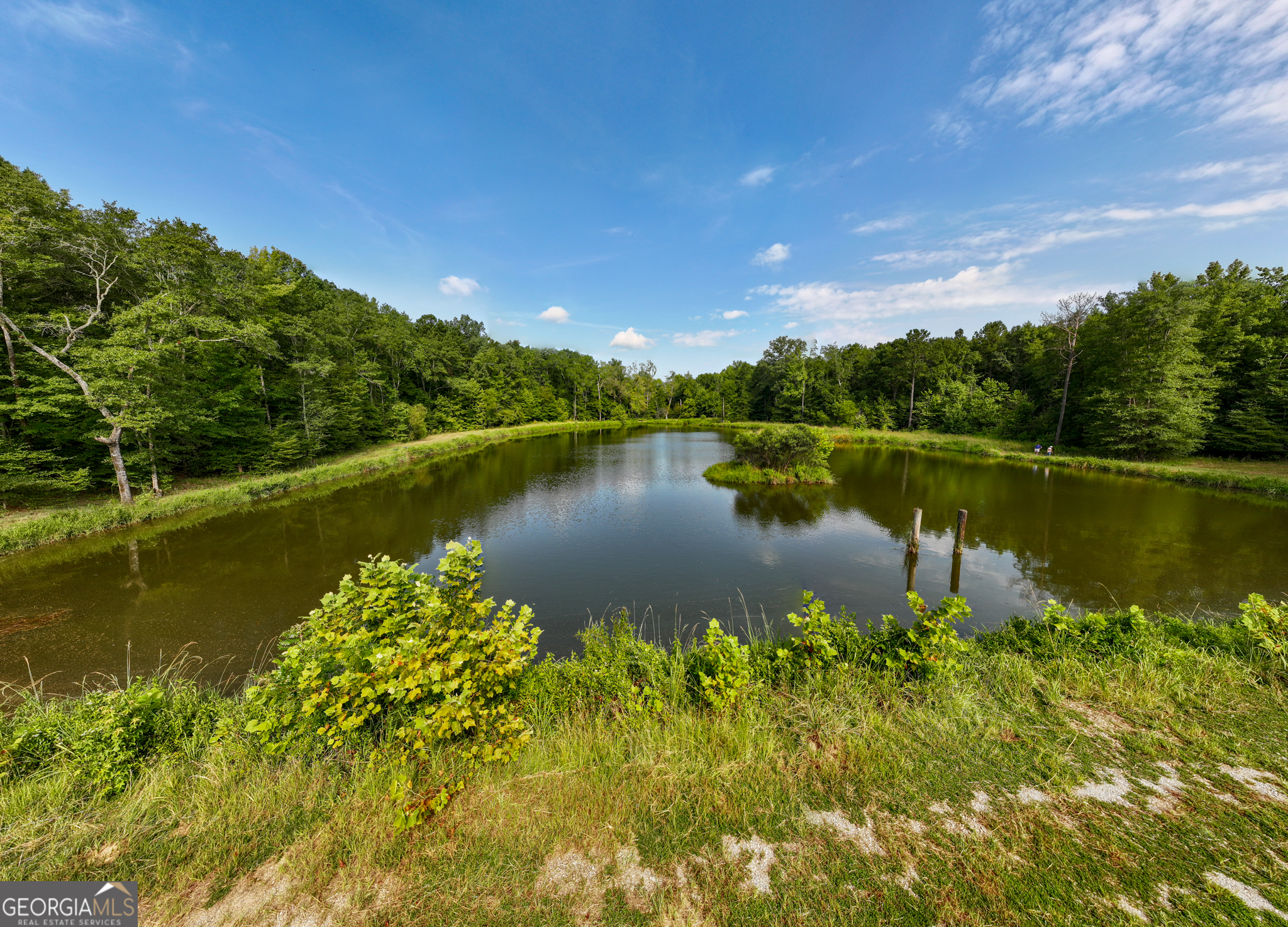 896 Talbotton Highway Butler, GA 31006 - Photo 8 of 47