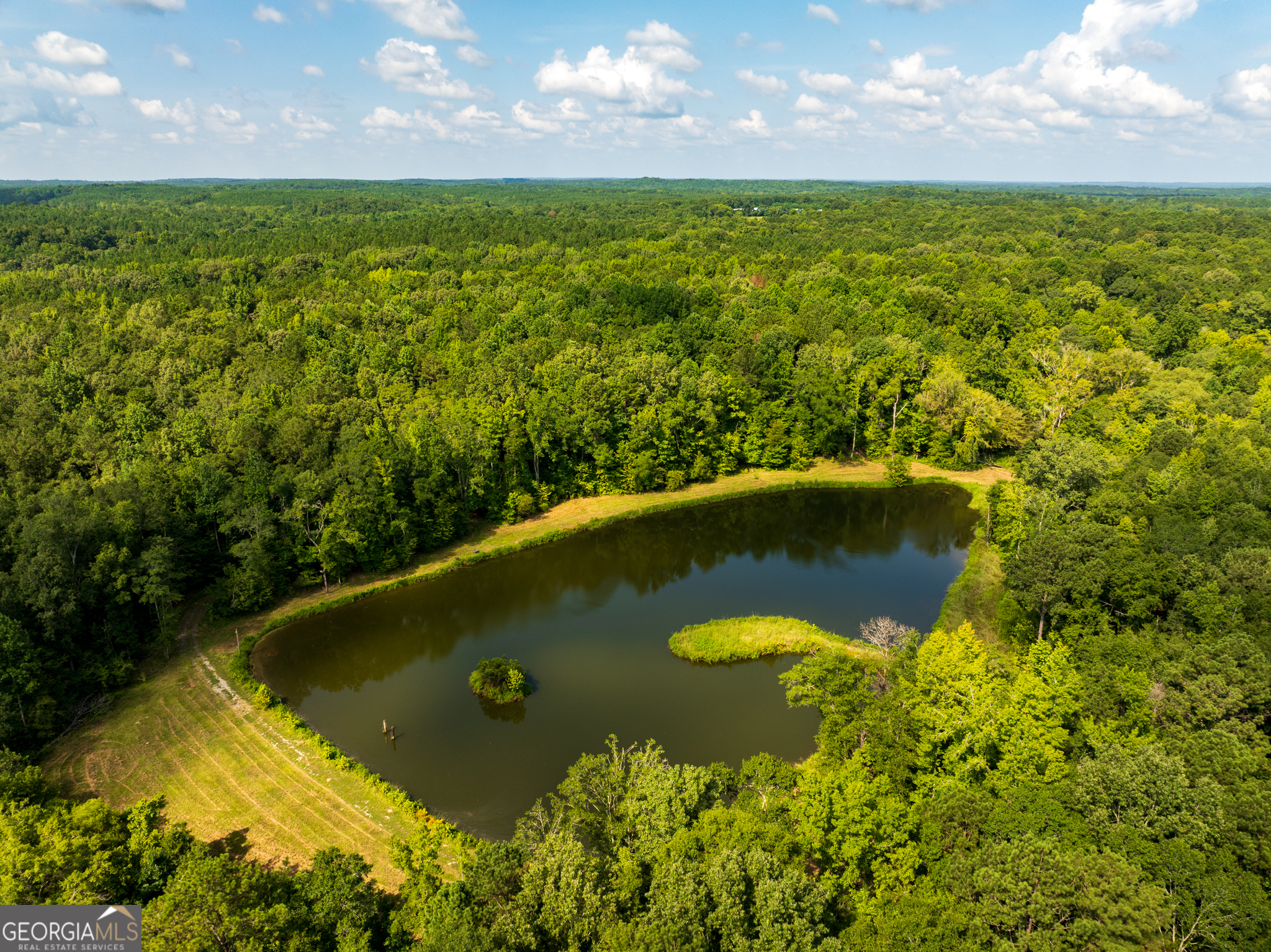 896 Talbotton Highway Butler, GA 31006 - Photo 9 of 47