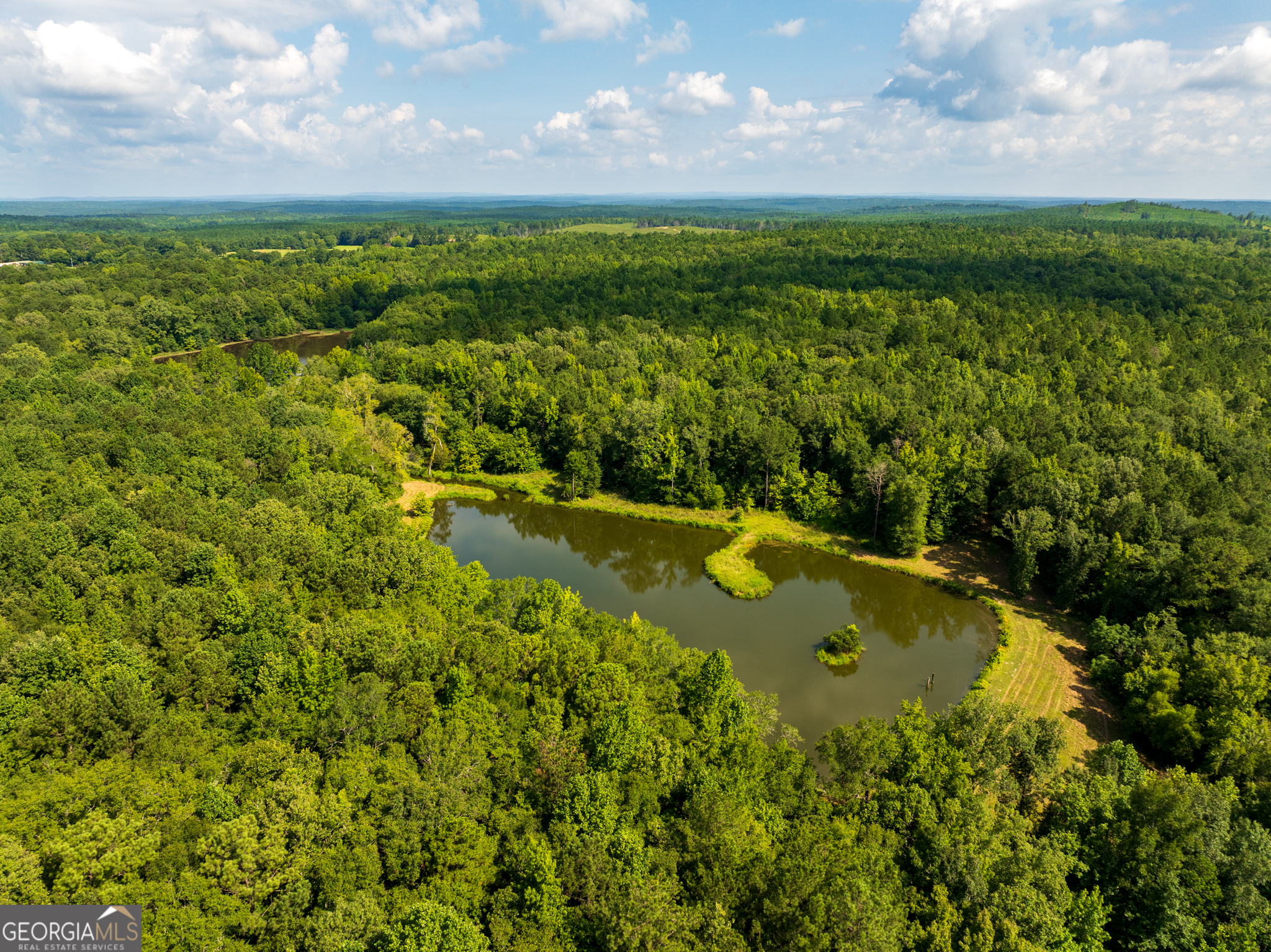 896 Talbotton Highway Butler, GA 31006 - Photo 10 of 47