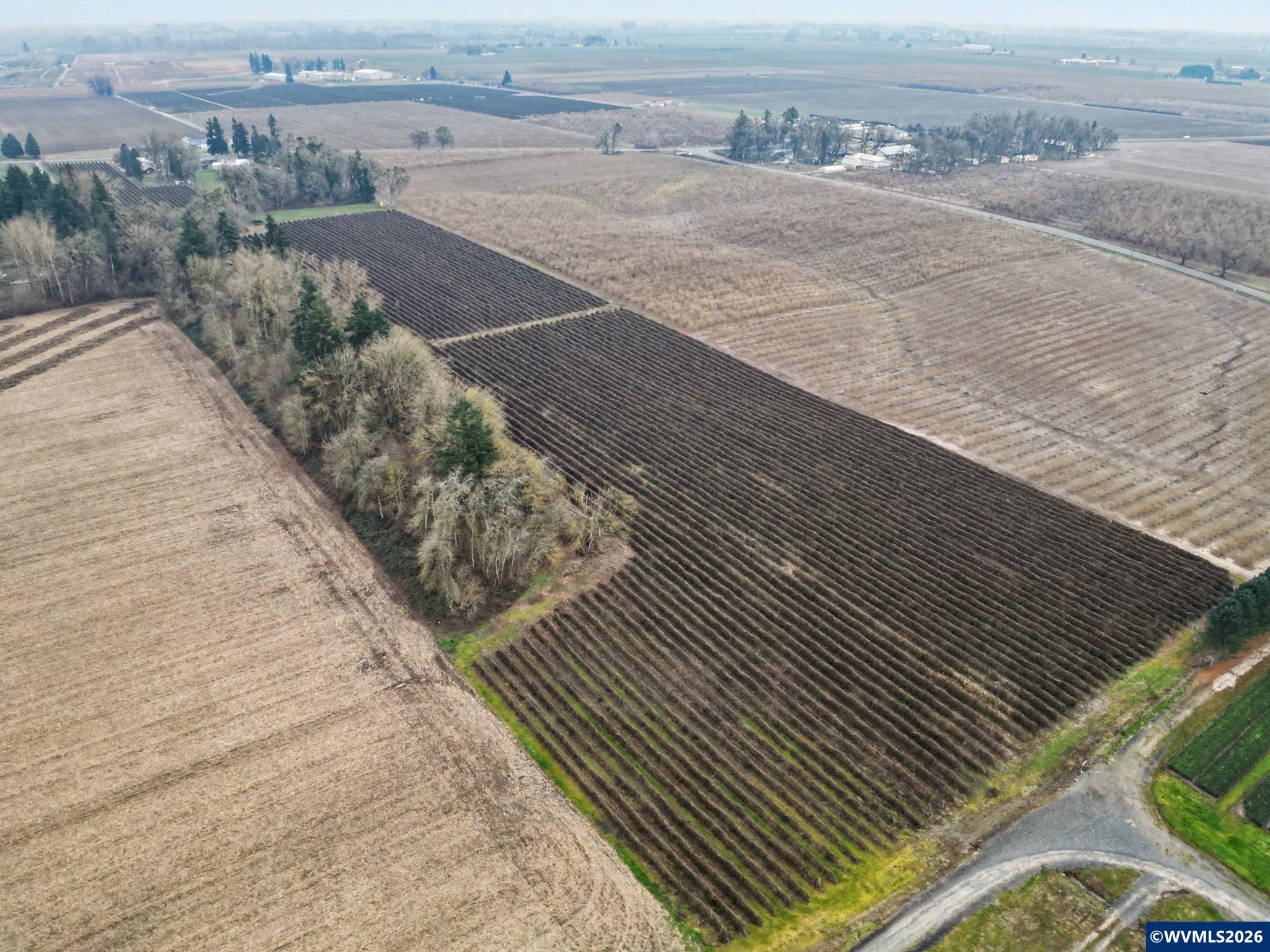 13763 French Prairie Road Northeast Gervais, OR 97026 - Photo 30 of 31