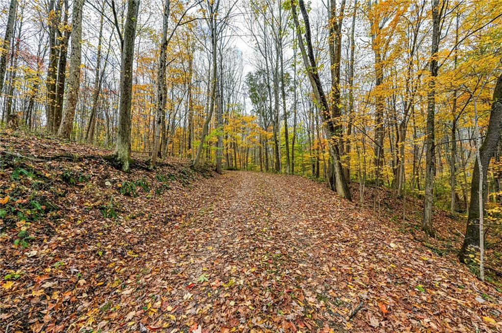 120 Youngstown Ridge Road Ligonier, PA 15658 - Photo 39 of 50 a view of a backyard of the house