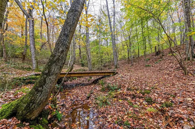 a backyard of a house with lots of green space