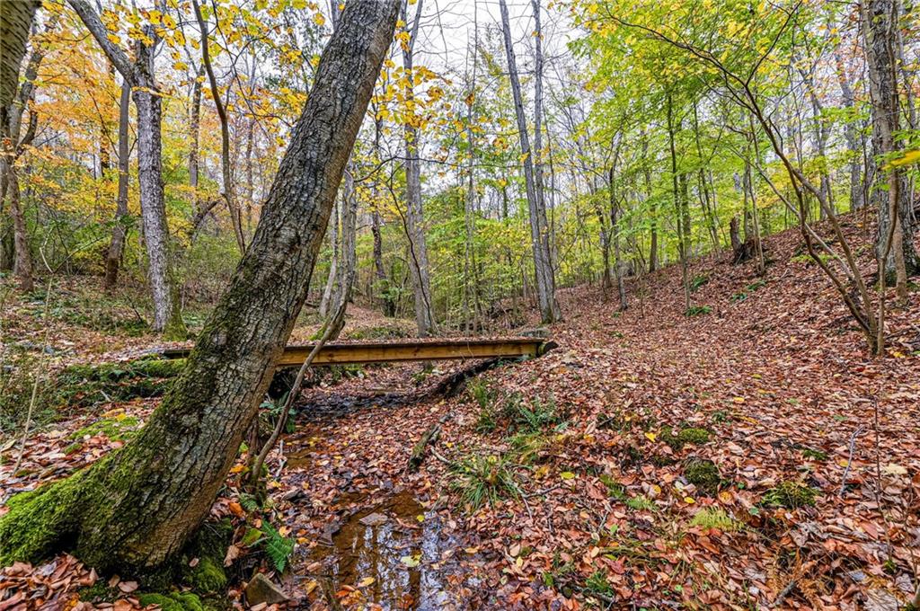 120 Youngstown Ridge Road Ligonier, PA 15658 - Photo 40 of 50 a view of a yard with plants and trees