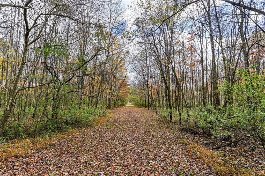 120 Youngstown Ridge Road Ligonier, PA 15658 - Photo 42 of 50 a view of backyard