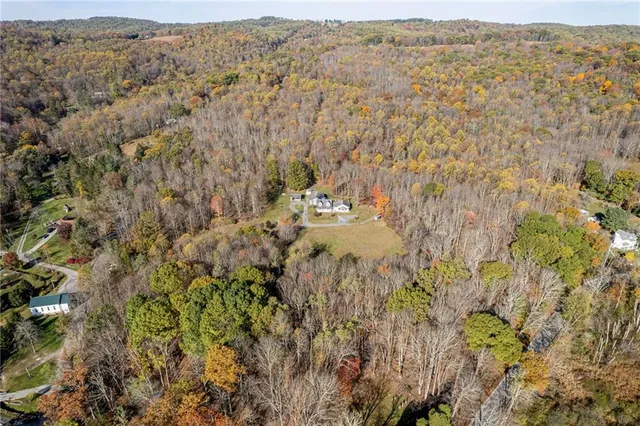 a view of a yard with a tree
