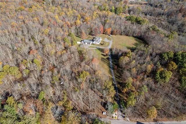 a view of yard along with trees