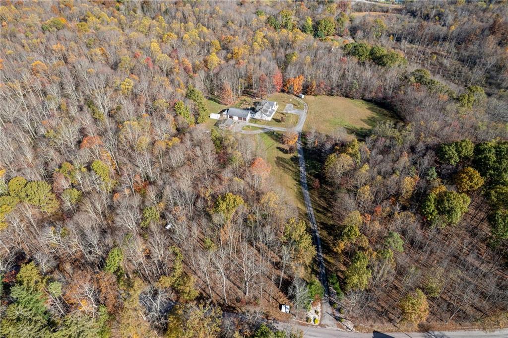 120 Youngstown Ridge Road Ligonier, PA 15658 - Photo 45 of 50 a view of a yard with a tree