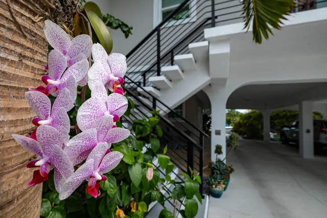 a picture of flowers