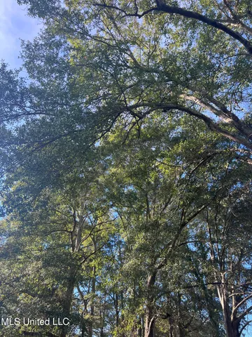 $173,000 | Unassigned Hines Circle, Braxton, MS 39044