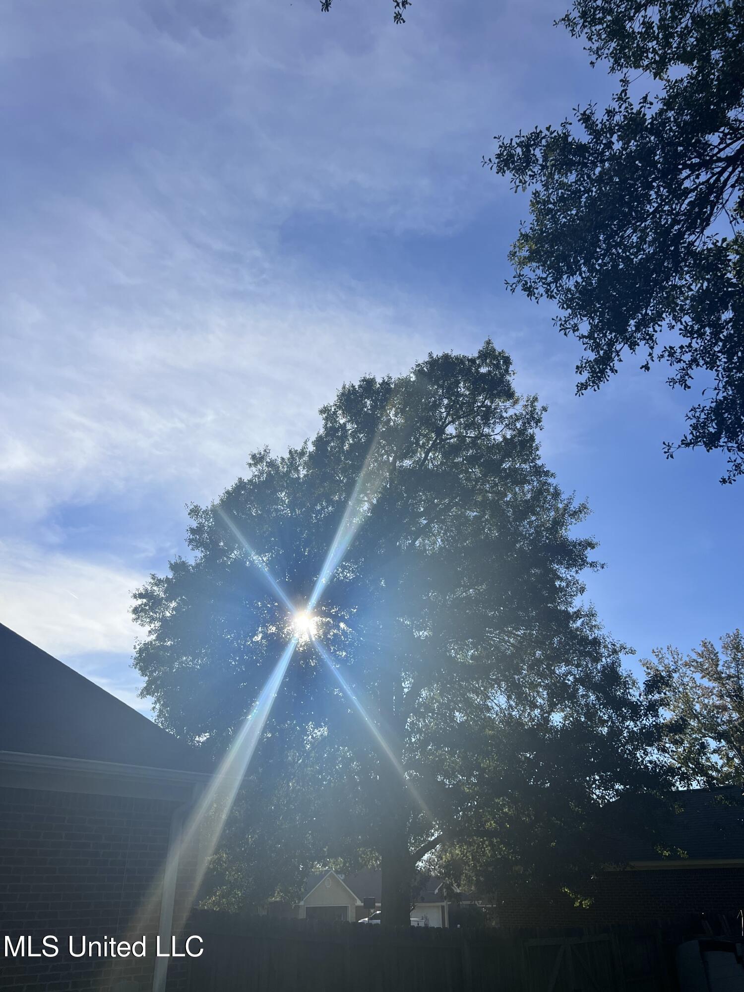 Unassigned Hines Circle Braxton, MS 39044 - Photo 2 of 7 IMG_0382