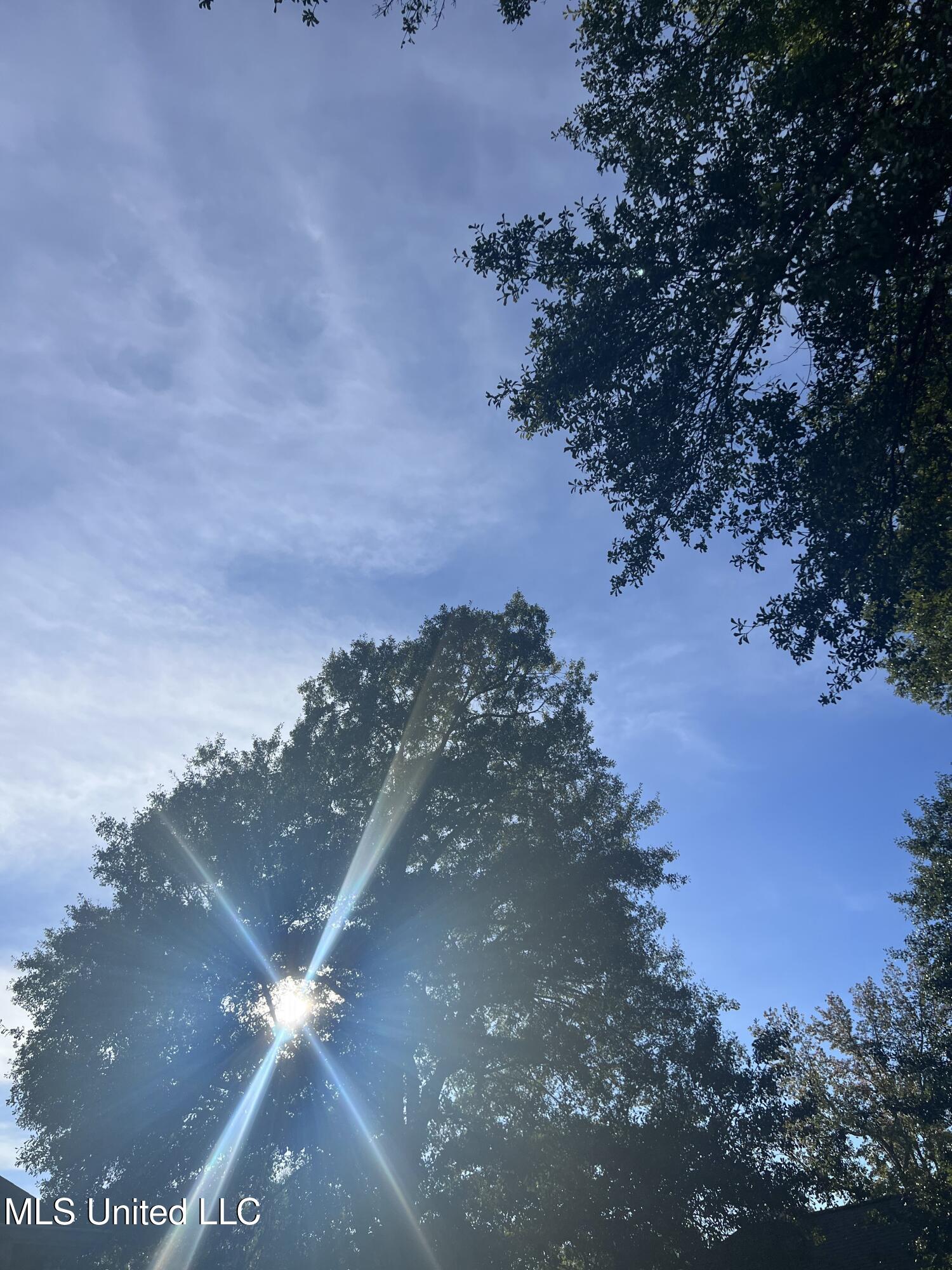 Unassigned Hines Circle Braxton, MS 39044 - Photo 6 of 7 IMG_0378