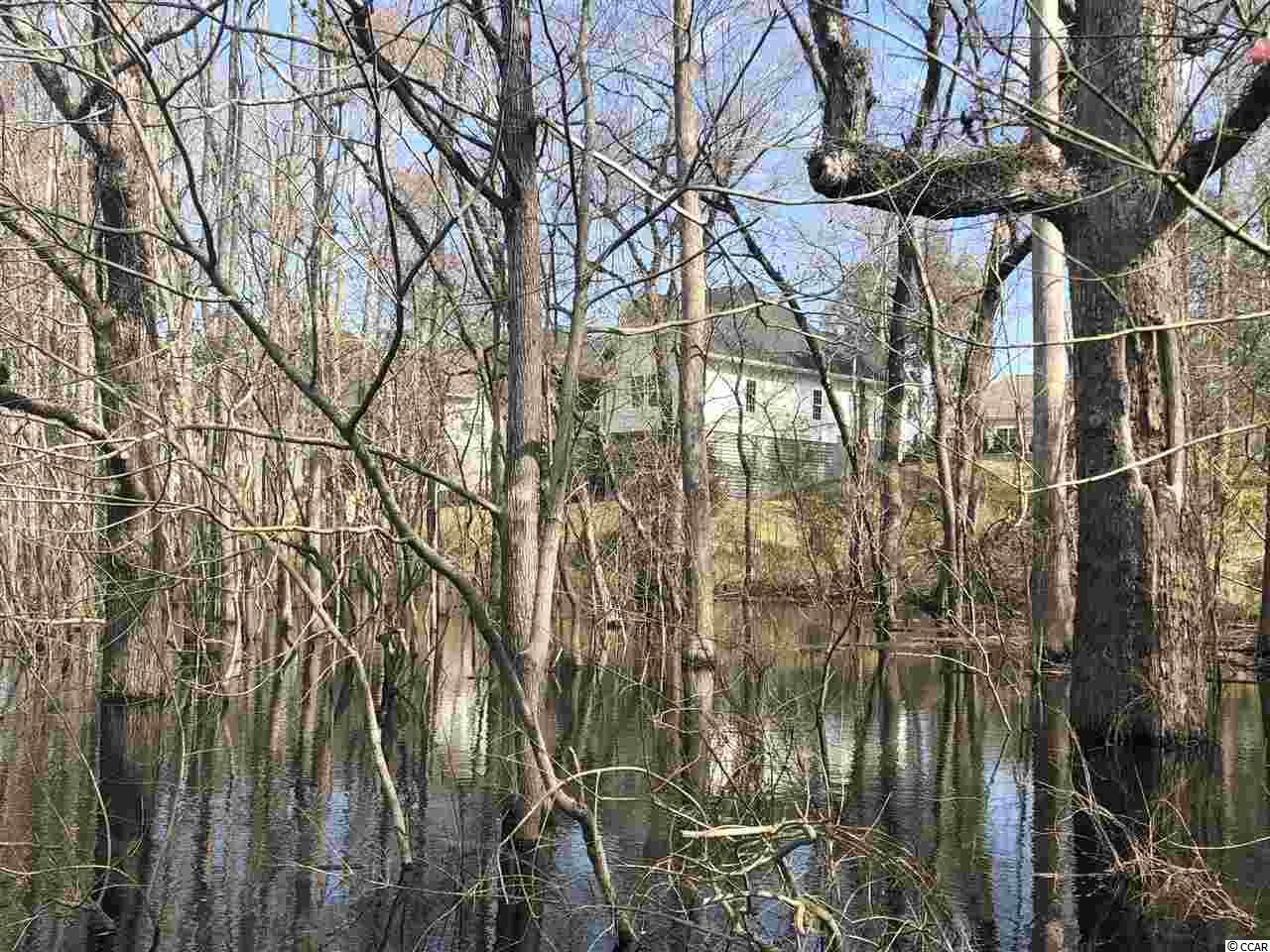 262 Rivers Edge Drive Conway, SC 29526 - Photo 5 of 37 Gallery Image 5