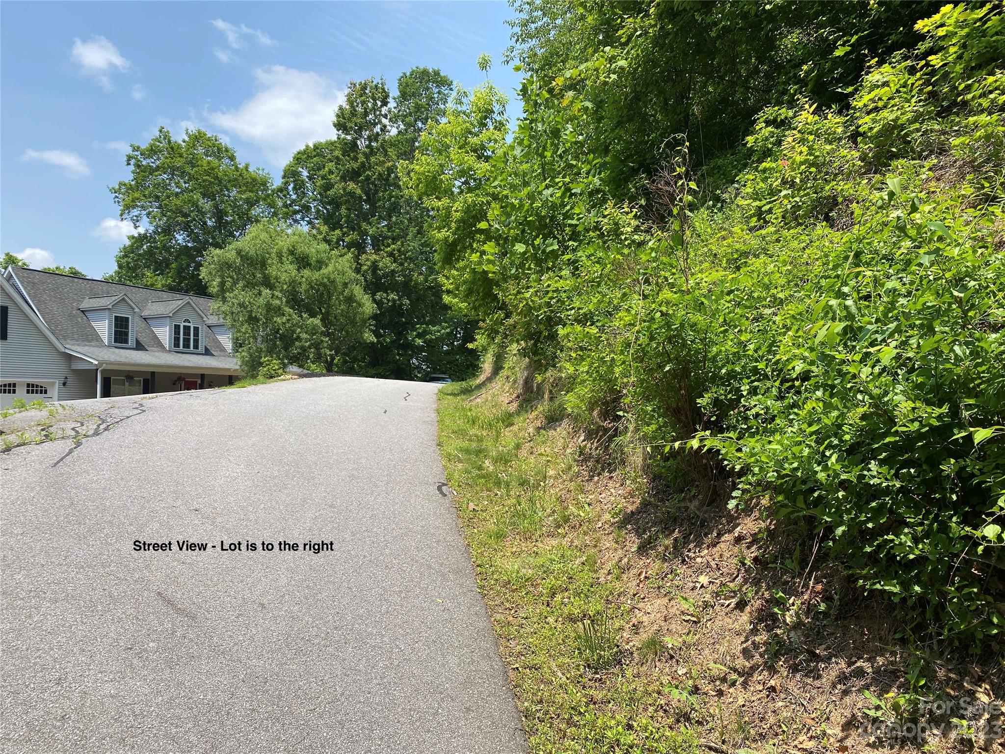 Lot 21 Powderhorn Ridge Canton, NC 28716 - Photo 3 of 11