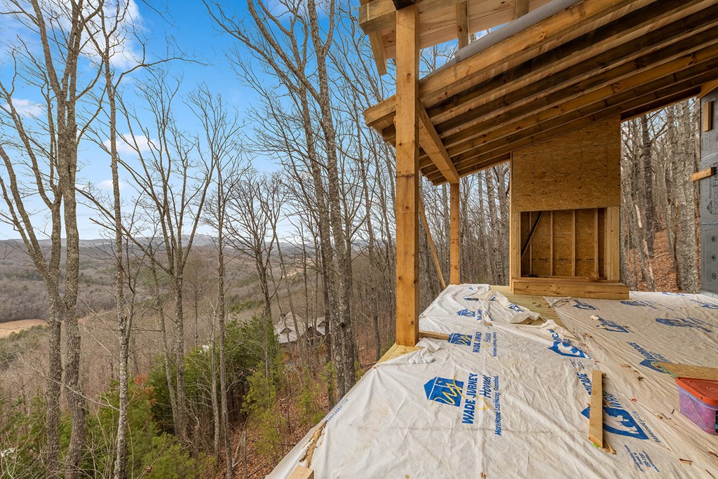 10 The Heights Blue Ridge, GA 30513 - Photo 27 of 75