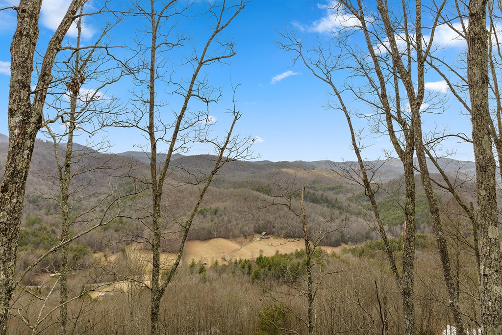 10 The Heights Blue Ridge, GA 30513 - Photo 3 of 75