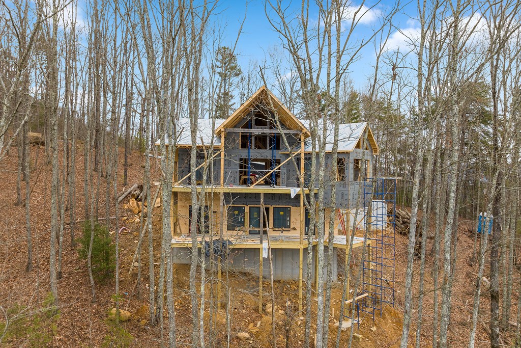 10 The Heights Blue Ridge, GA 30513 - Photo 45 of 75