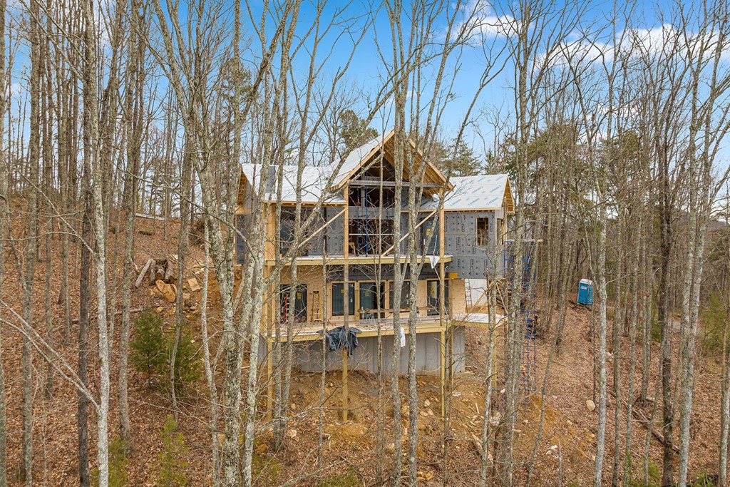 10 The Heights Blue Ridge, GA 30513 - Photo 46 of 75