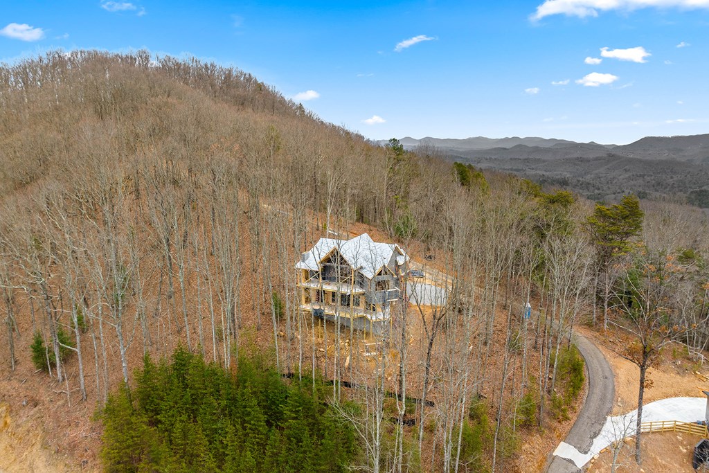 10 The Heights Blue Ridge, GA 30513 - Photo 47 of 75