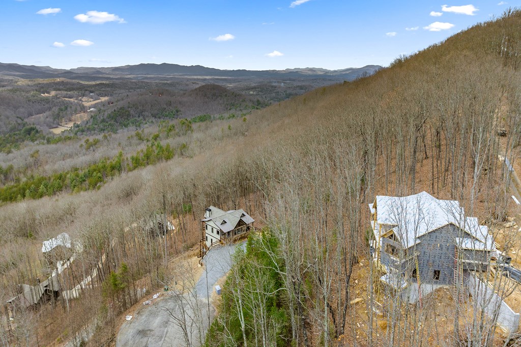 10 The Heights Blue Ridge, GA 30513 - Photo 48 of 75
