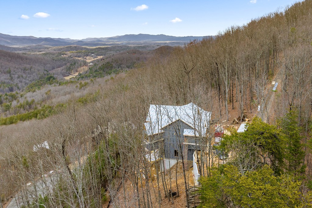 10 The Heights Blue Ridge, GA 30513 - Photo 49 of 75