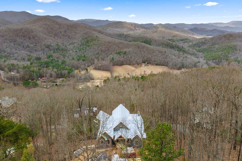 10 The Heights Blue Ridge, GA 30513 - Photo 50 of 75