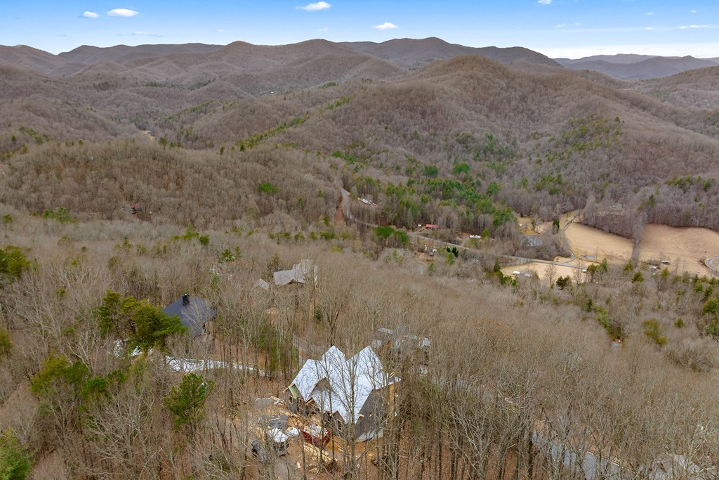 10 The Heights Blue Ridge, GA 30513 - Photo 51 of 75