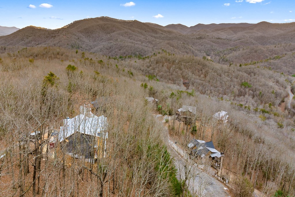 10 The Heights Blue Ridge, GA 30513 - Photo 53 of 75