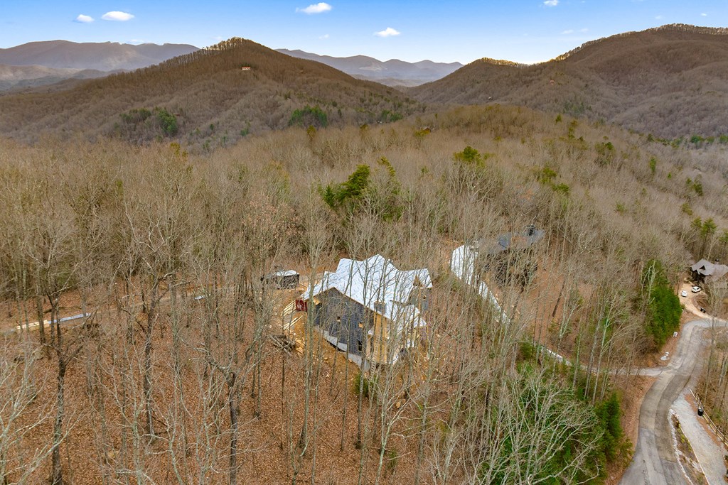 10 The Heights Blue Ridge, GA 30513 - Photo 54 of 75