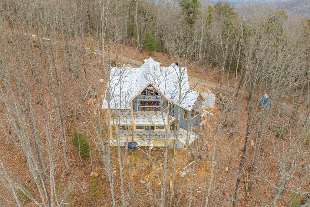 10 The Heights Blue Ridge, GA 30513 - Photo 57 of 75