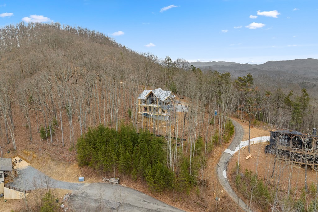 10 The Heights Blue Ridge, GA 30513 - Photo 58 of 75